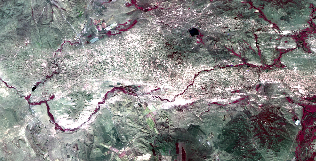fig1